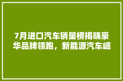 7月进口汽车销量榜揭晓豪华品牌领跑，新能源汽车崛起