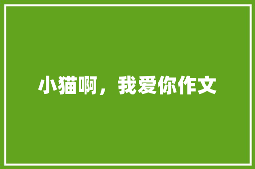 8万以下纯电动汽车排行榜绿色出行新趋势下的市场风云