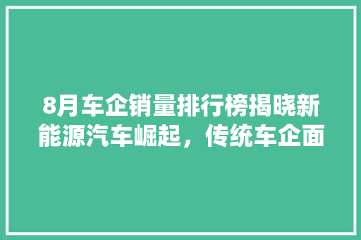 8月车企销量排行榜揭晓新能源汽车崛起，传统车企面临挑战