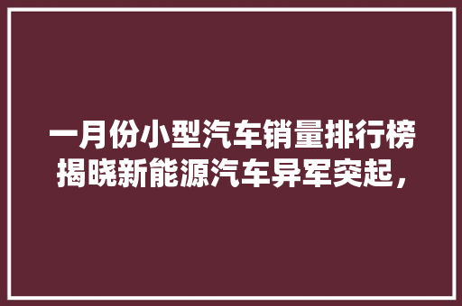 一月份小型汽车销量排行榜揭晓新能源汽车异军突起，传统车型面临挑战