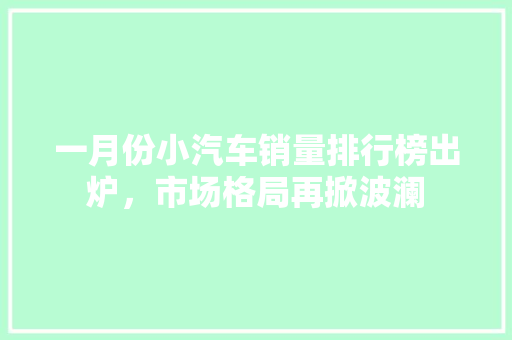 一月份小汽车销量排行榜出炉，市场格局再掀波澜