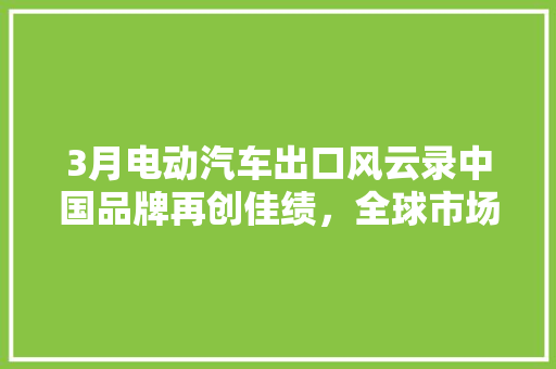 3月电动汽车出口风云录中国品牌再创佳绩，全球市场潜力无限