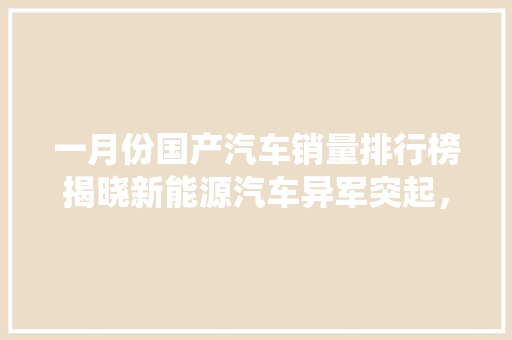一月份国产汽车销量排行榜揭晓新能源汽车异军突起，传统燃油车面临挑战
