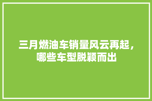 三月燃油车销量风云再起，哪些车型脱颖而出