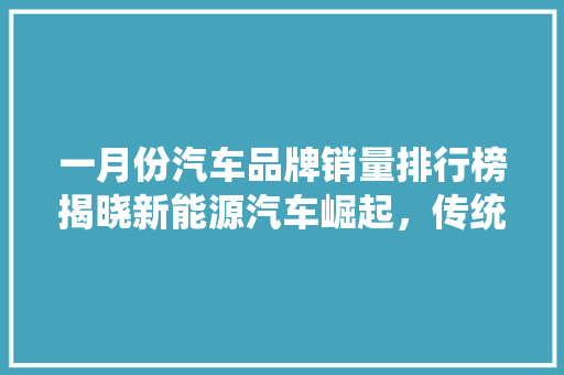 一月份汽车品牌销量排行榜揭晓新能源汽车崛起，传统巨头面临挑战
