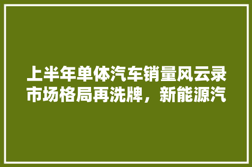 上半年单体汽车销量风云录市场格局再洗牌，新能源汽车崛起