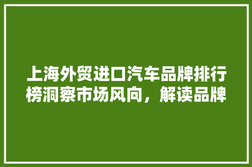 上海外贸进口汽车品牌排行榜洞察市场风向，解读品牌实力
