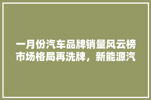 一月份汽车品牌销量风云榜市场格局再洗牌，新能源汽车崛起