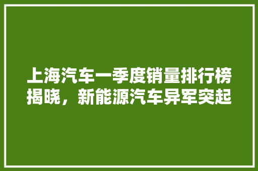 上海汽车一季度销量排行榜揭晓，新能源汽车异军突起