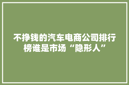 不挣钱的汽车电商公司排行榜谁是市场“隐形人”