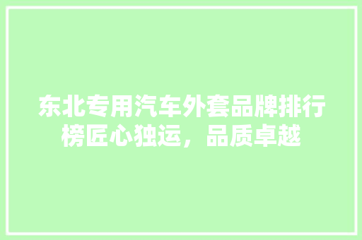 东北专用汽车外套品牌排行榜匠心独运，品质卓越