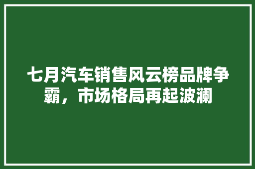 七月汽车销售风云榜品牌争霸，市场格局再起波澜