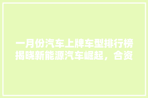 一月份汽车上牌车型排行榜揭晓新能源汽车崛起，合资品牌稳居前列