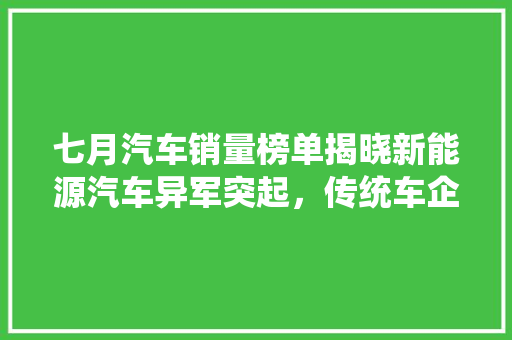 七月汽车销量榜单揭晓新能源汽车异军突起，传统车企面临挑战