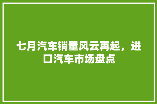 七月汽车销量风云再起，进口汽车市场盘点