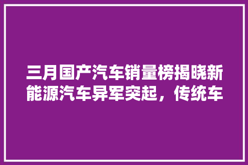 三月国产汽车销量榜揭晓新能源汽车异军突起，传统车企稳扎稳打
