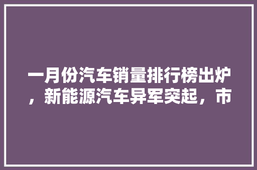 一月份汽车销量排行榜出炉，新能源汽车异军突起，市场格局再掀波澜
