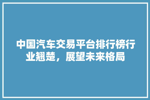中国汽车交易平台排行榜行业翘楚，展望未来格局