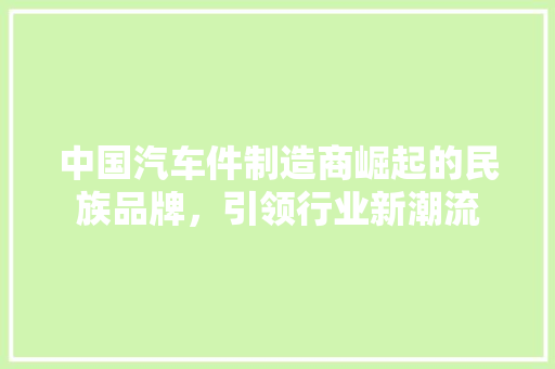 中国汽车件制造商崛起的民族品牌，引领行业新潮流