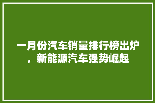 一月份汽车销量排行榜出炉，新能源汽车强势崛起