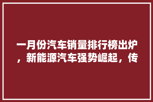 一月份汽车销量排行榜出炉，新能源汽车强势崛起，传统品牌面临挑战