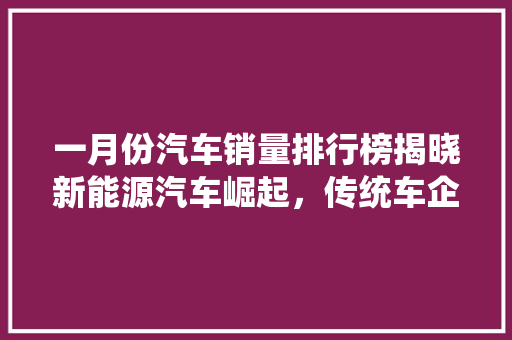 一月份汽车销量排行榜揭晓新能源汽车崛起，传统车企面临挑战