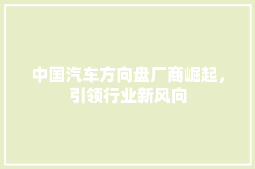 中国汽车方向盘厂商崛起，引领行业新风向