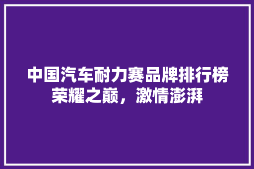 中国汽车耐力赛品牌排行榜荣耀之巅，激情澎湃