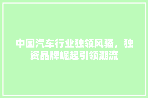 中国汽车行业独领风骚，独资品牌崛起引领潮流
