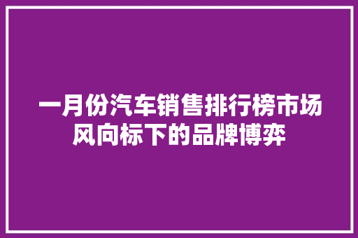 一月份汽车销售排行榜市场风向标下的品牌博弈
