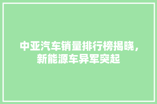中亚汽车销量排行榜揭晓，新能源车异军突起