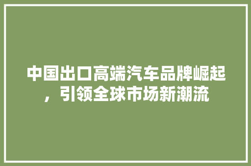 中国出口高端汽车品牌崛起，引领全球市场新潮流