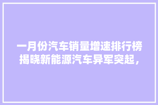 一月份汽车销量增速排行榜揭晓新能源汽车异军突起，传统车企面临挑战