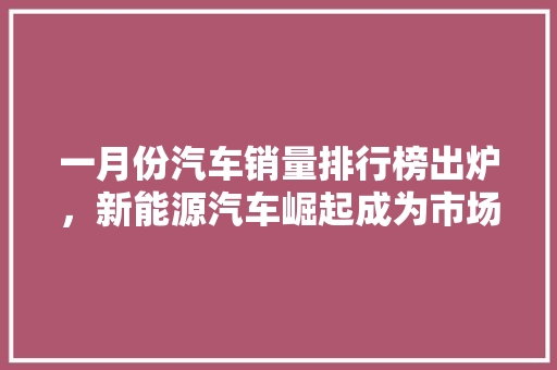 一月份汽车销量排行榜出炉，新能源汽车崛起成为市场新宠