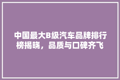 中国最大B级汽车品牌排行榜揭晓，品质与口碑齐飞