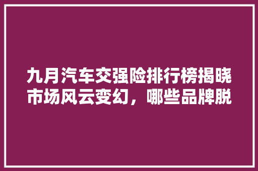 九月汽车交强险排行榜揭晓市场风云变幻，哪些品牌脱颖而出