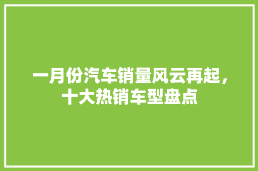 一月份汽车销量风云再起，十大热销车型盘点