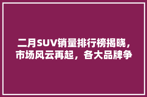 二月SUV销量排行榜揭晓，市场风云再起，各大品牌争霸激烈