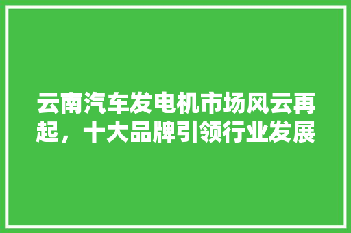 云南汽车发电机市场风云再起，十大品牌引领行业发展新篇章