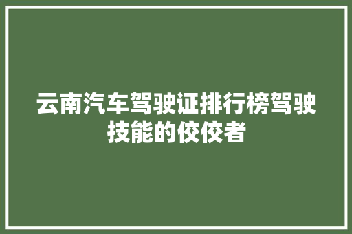 云南汽车驾驶证排行榜驾驶技能的佼佼者