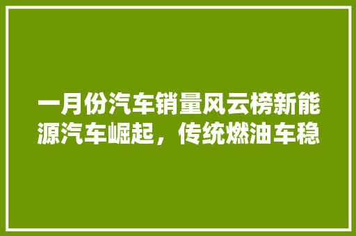 一月份汽车销量风云榜新能源汽车崛起，传统燃油车稳扎稳打