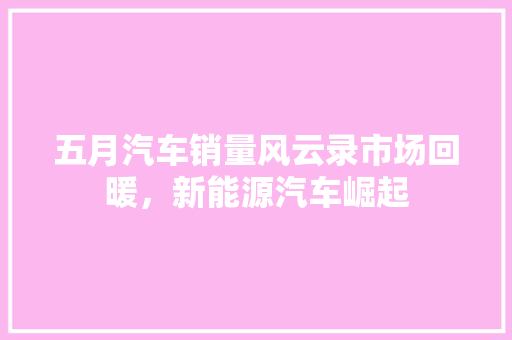五月汽车销量风云录市场回暖，新能源汽车崛起
