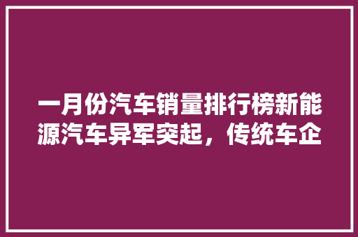 一月份汽车销量排行榜新能源汽车异军突起，传统车企面临挑战