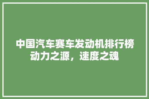 中国汽车赛车发动机排行榜动力之源，速度之魂