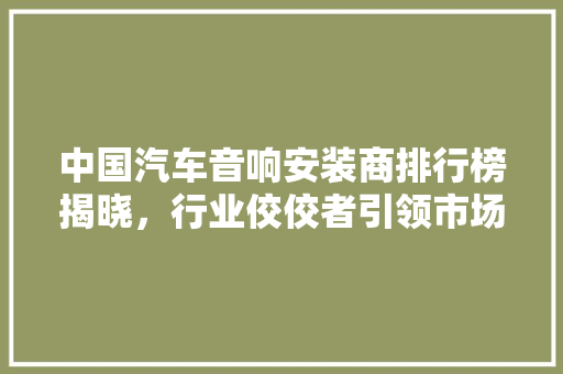 中国汽车音响安装商排行榜揭晓，行业佼佼者引领市场新风向