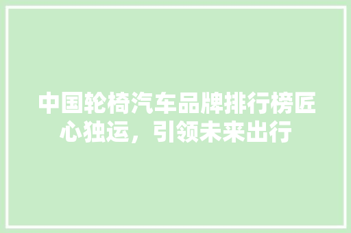 中国轮椅汽车品牌排行榜匠心独运，引领未来出行