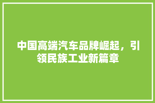 中国高端汽车品牌崛起，引领民族工业新篇章