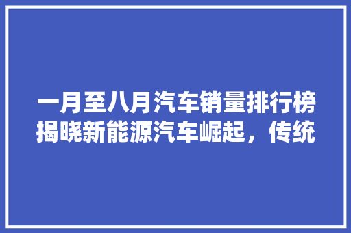 一月至八月汽车销量排行榜揭晓新能源汽车崛起，传统燃油车压力倍增
