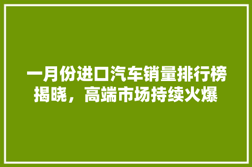一月份进口汽车销量排行榜揭晓，高端市场持续火爆