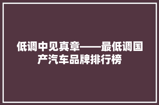 低调中见真章——最低调国产汽车品牌排行榜